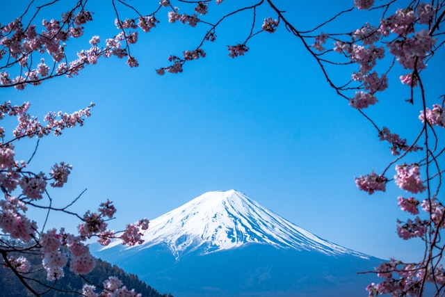 メキシコ　日本