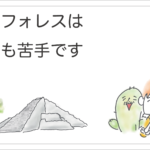フリフォレス