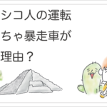 メキシコの暴走車