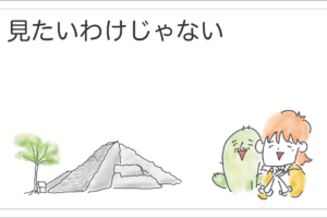 お尻の割れ目